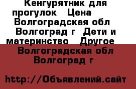 Кенгурятник для прогулок › Цена ­ 500 - Волгоградская обл., Волгоград г. Дети и материнство » Другое   . Волгоградская обл.,Волгоград г.